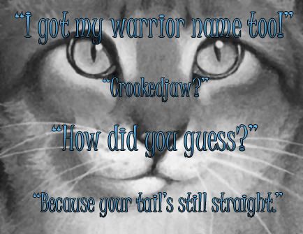 Warrior cats books, Warrior cats quotes, Warrior cat memes