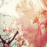 New posts