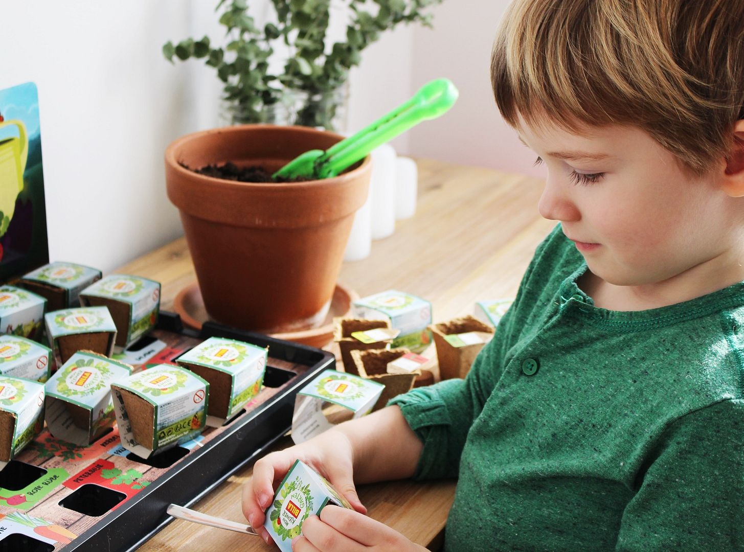 KIDSLIFE Maximilians kleiner BILLA Garten (1) Ansetzen und Pflegen