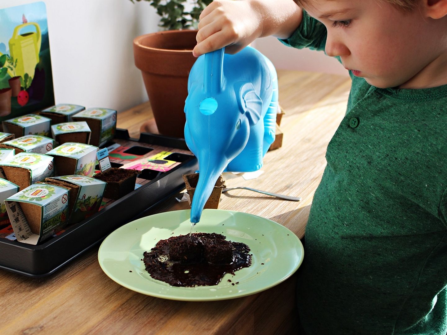 KIDSLIFE Maximilians kleiner BILLA Garten (1) Ansetzen und Pflegen