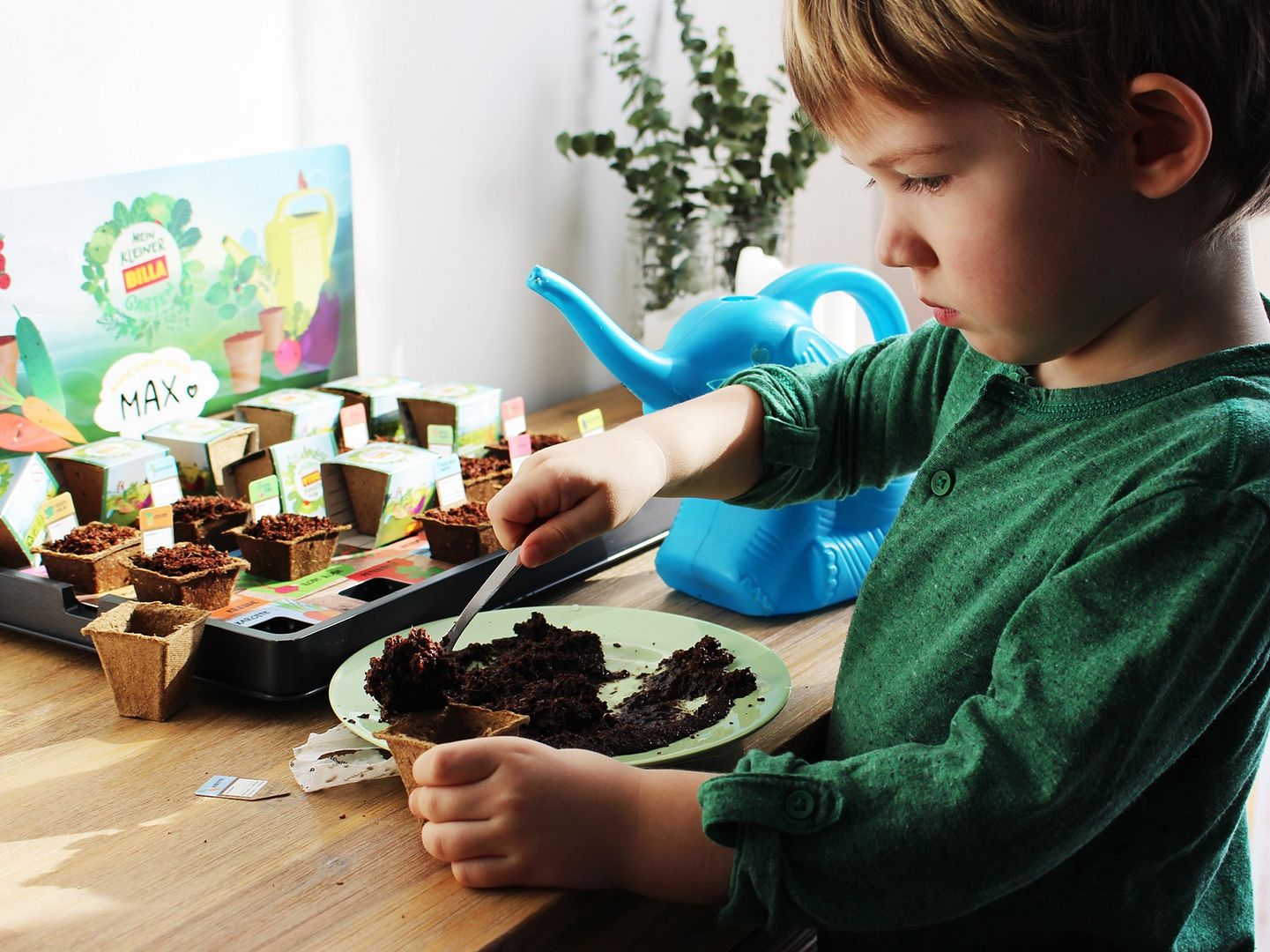 KIDSLIFE Maximilians kleiner BILLA Garten (1) Ansetzen und Pflegen