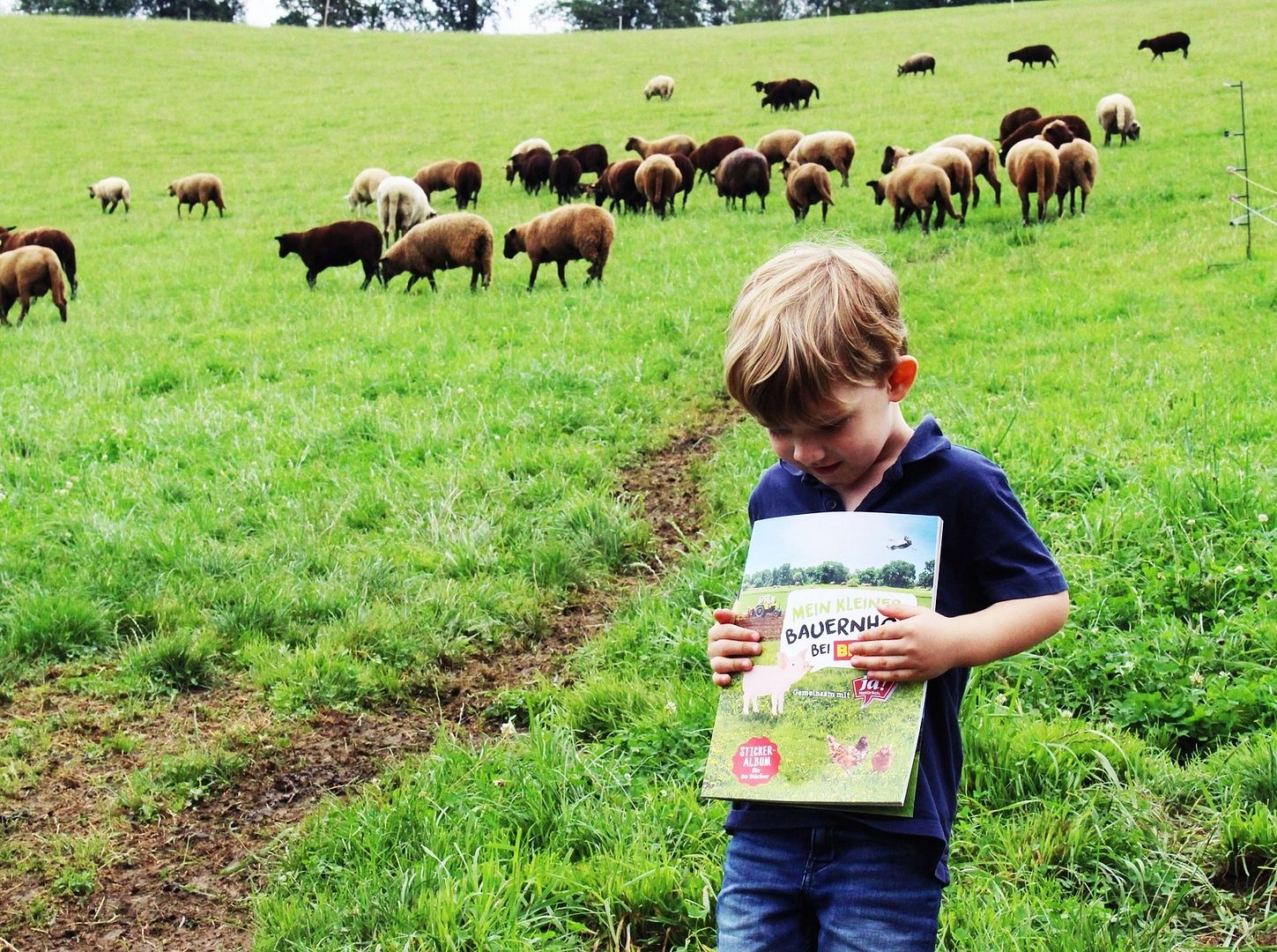 KIDSLIFE Mein kleiner Bauernhof bei BILLA Bauernhofbesuch mit