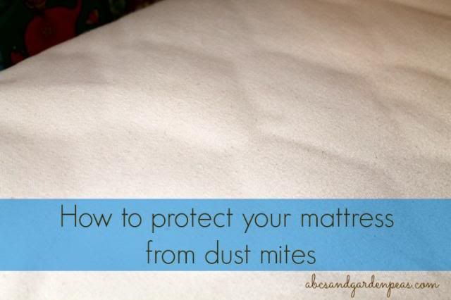 Protect your mattress with Naturepedic photo NaturepedicMattressPad.jpg