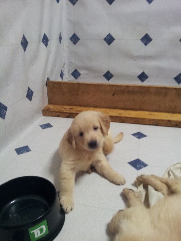 2012-09-08155310.jpg