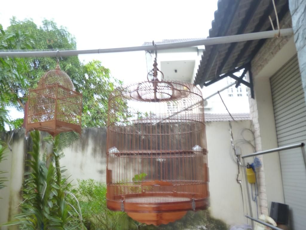 Lồng lửa biên hòa 80 cực đẹp giao lưu lồng 68(có hình)