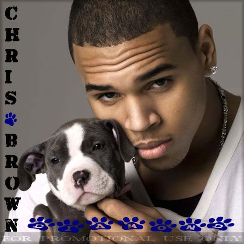 chris brown 2011. Chris Brown Diamond (2011)