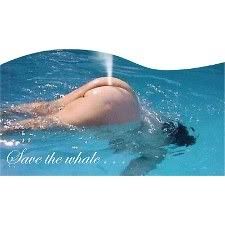 whale.jpg