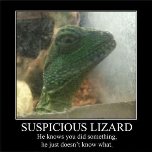 suspiciouslizard.jpg