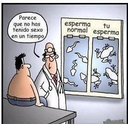 sarcasmo.jpg