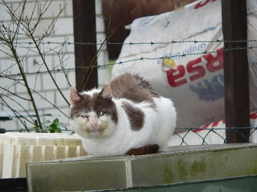 Verkleinert8.jpg