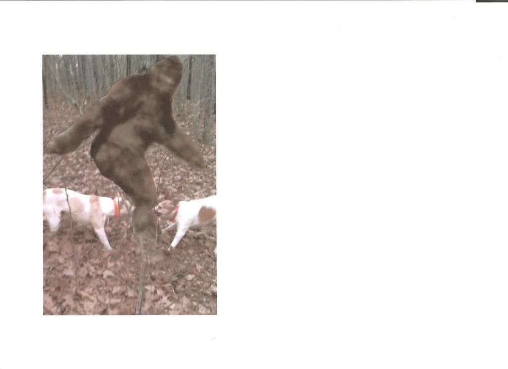 [Linked Image]