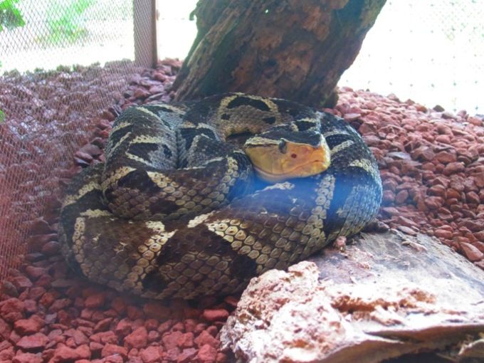 photo IMG_3000_zps2efd3cbc.jpg