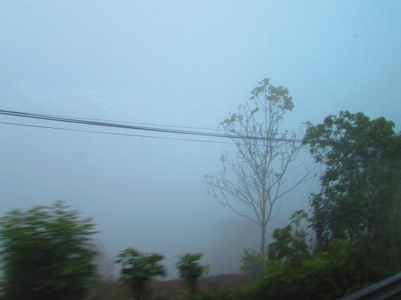 photo IMG_1320_zps068a4d75.jpg