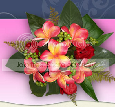 Photobucket Pictures, Images and Photos