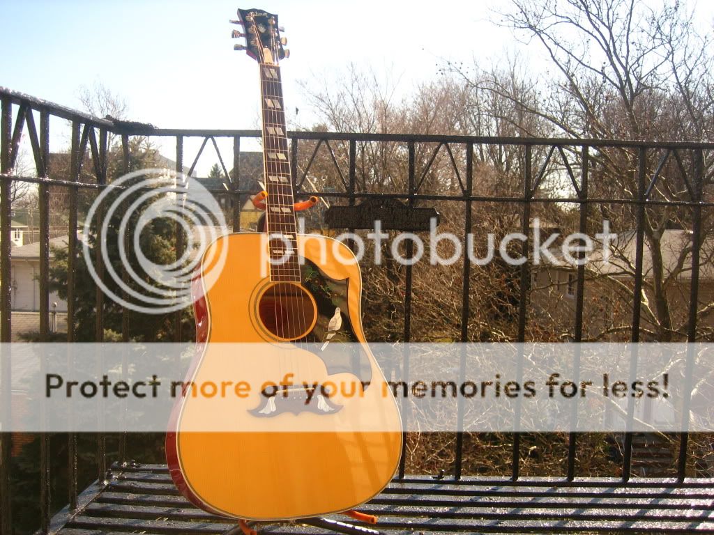 1997 Gibson Dove Acoustic 60s Dove  