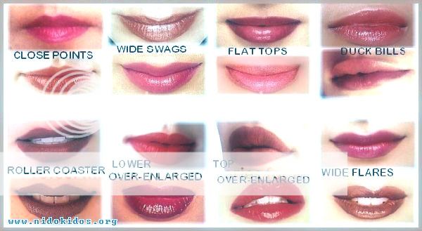 your Lip Shape - Lindaland