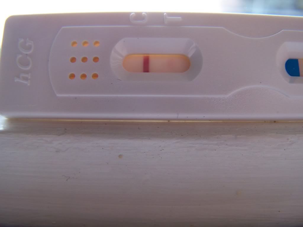 Here Are A Couple Of Pictures Of The Test I Know Its Not Advisable To Read The Results After A Period Of Time But Its Impossible Not To Here Are A Couple Of Pictures Of The Test I Know Its Not Advisable To Read The Results After A Period Of Time But Its Impossible Not To